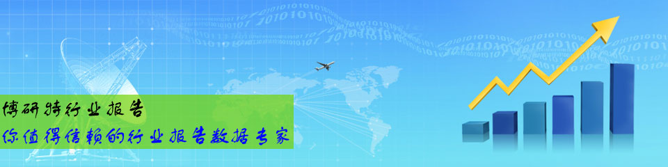 研究报告