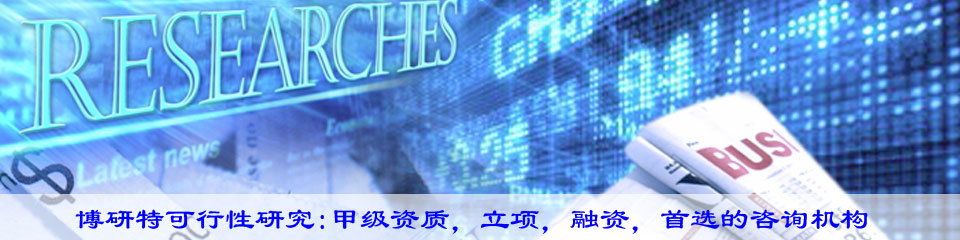 研究报告